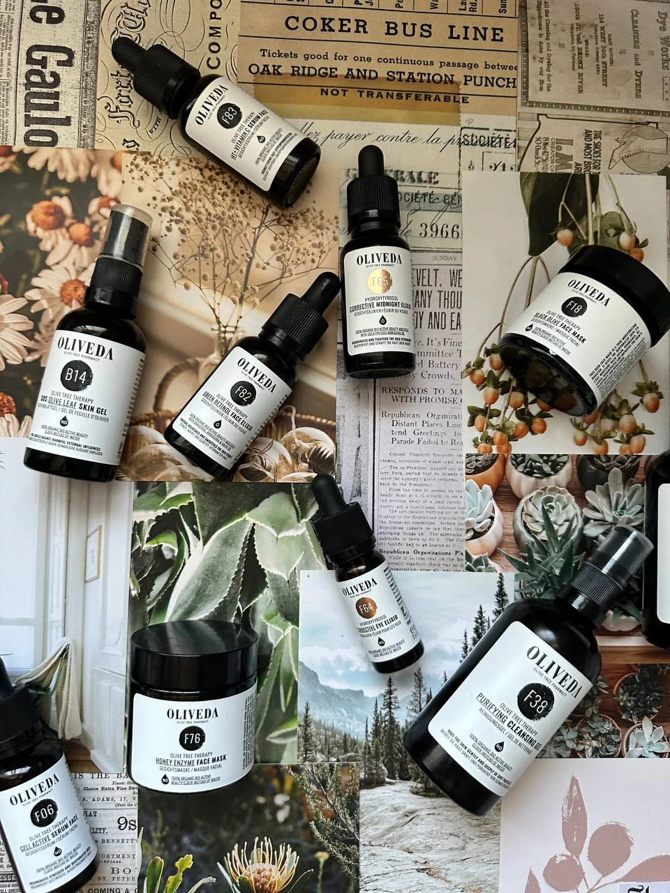 Botanical Oliveda product photography with olive-inspired styling