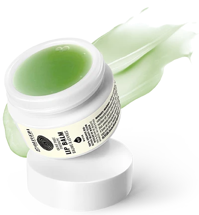 Oliveda F75 Olive Tree Therapy Lip Balm